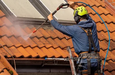 Démoussage et hydrofuge de toiture à Venanson